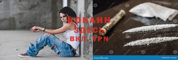 молекула духа Бородино