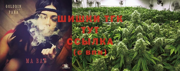 молекула духа Бородино
