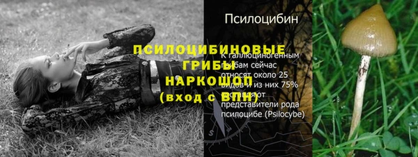 меф Бугульма