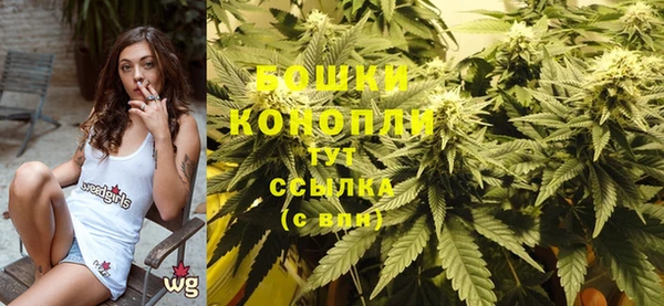 молекула духа Бородино